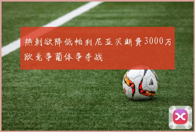 热刺欲降低帕利尼亚买断费3000万欧竞争葡体争夺战