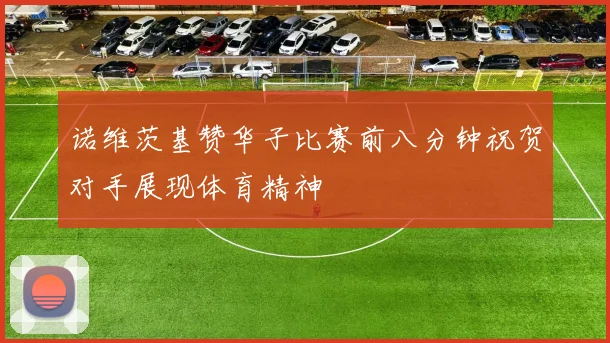 诺维茨基赞华子比赛前八分钟祝贺对手展现体育精神